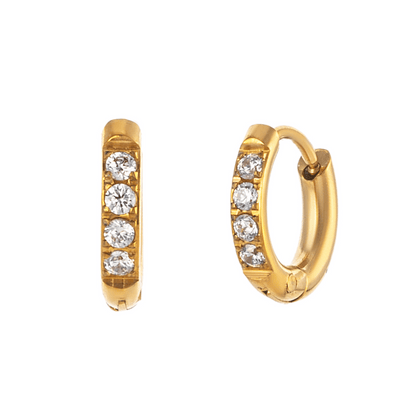 Petite Zirconia Earrings