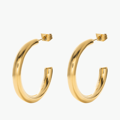 Sleek Earrings