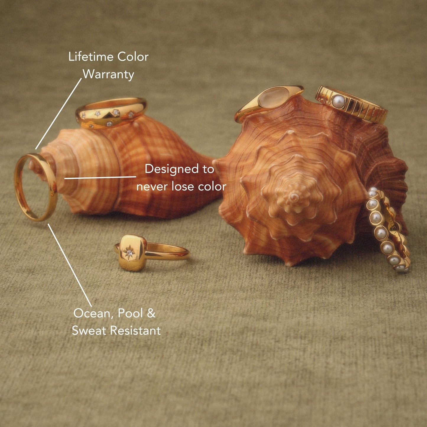 Anello Band Everyday